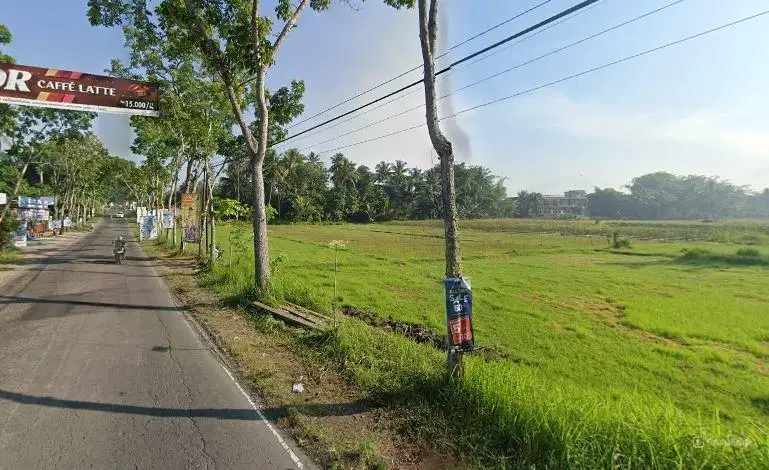 Tanah Tepi Jalan Borobudur, Cocok Usaha dan Homestay