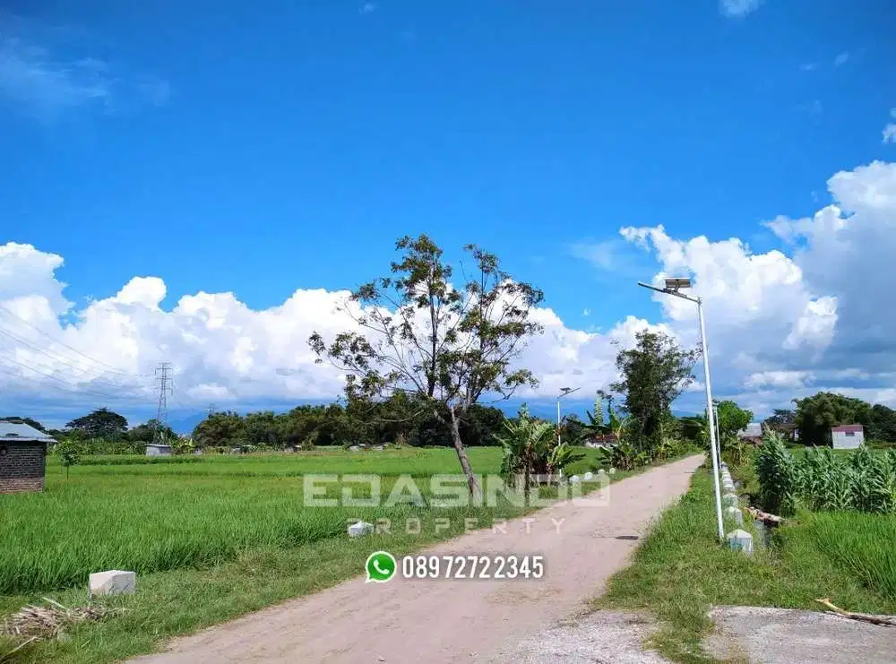 Tanah Sawah Ponorogo Jalan Doplang