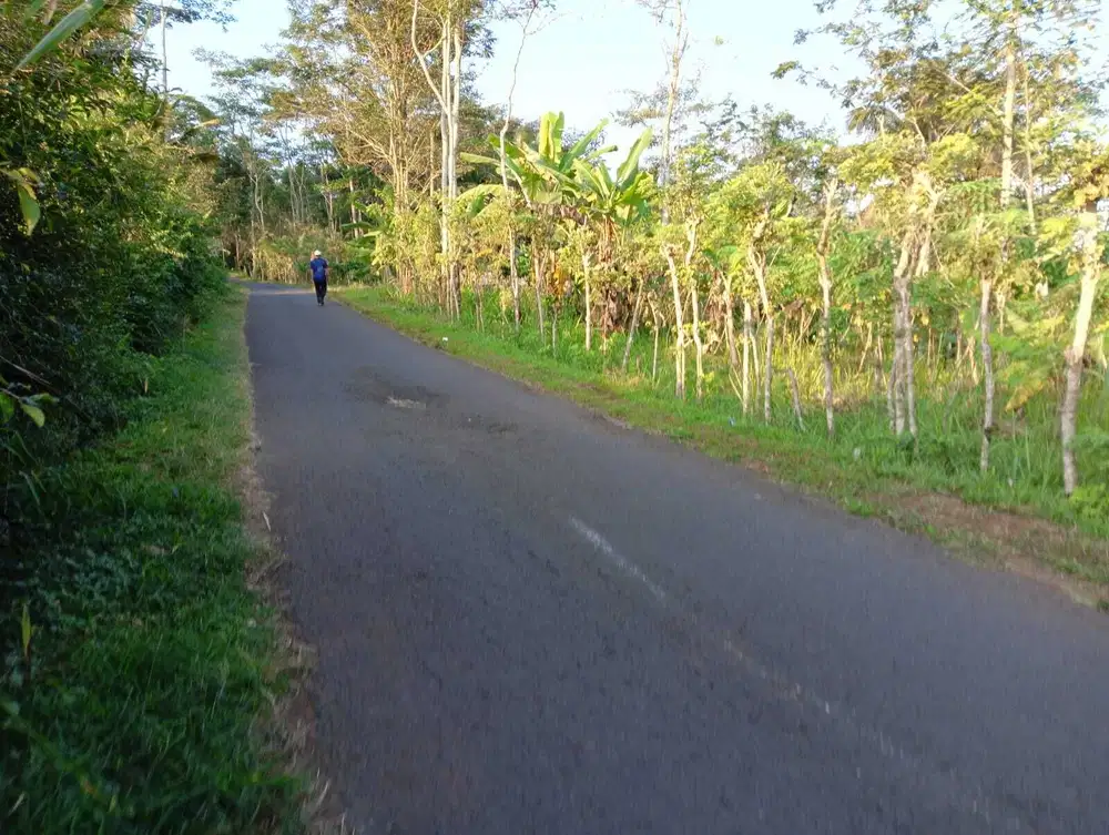 Dijual Tanah Pinggir Jalan Pringsurat, Cocok Perkebunan dan Investasi
