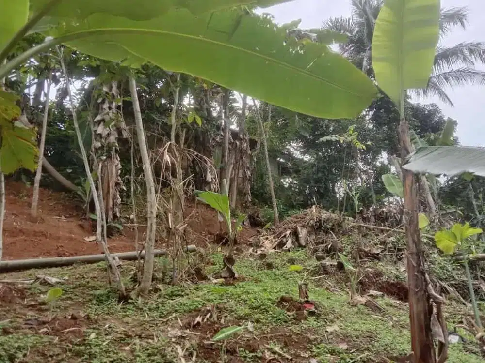 Di Jual Lahan Murah,Cocok Untuk Investasi Atau Berkebun