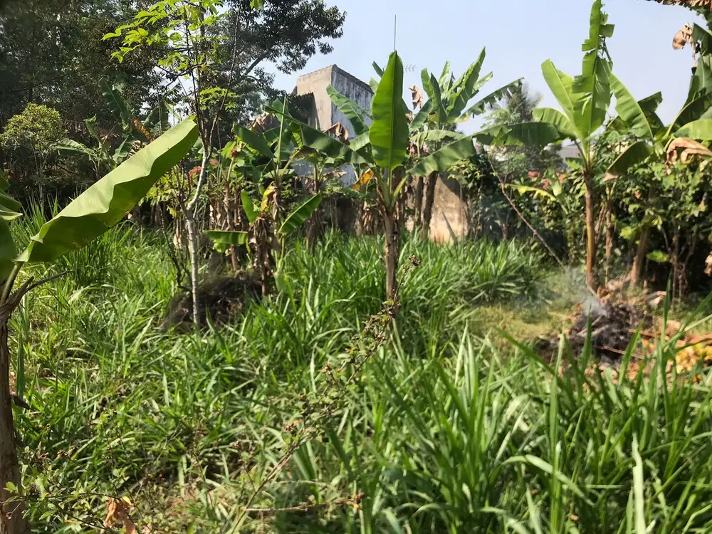 Di Jual Tanah Kosong Di Sawit,cocok Untuk Bangun Rumah