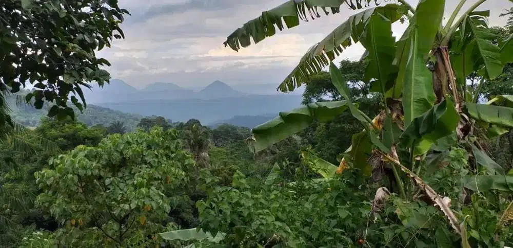 Di Jual Kebun View Bendungan Jatiluhur,Cocok Untuk Villa