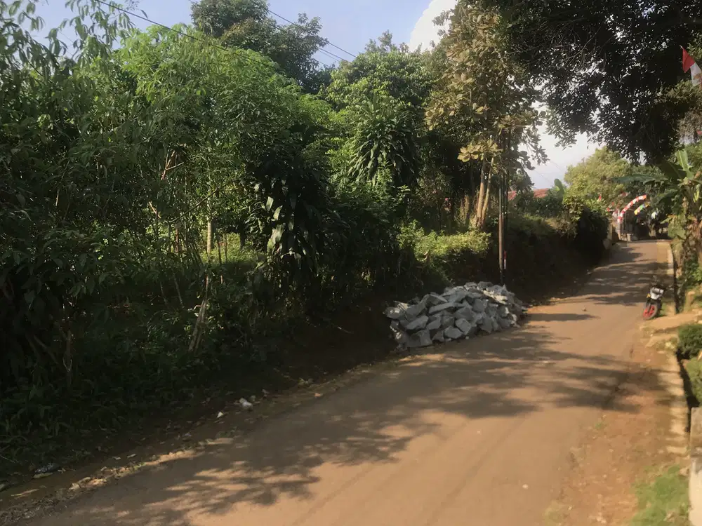 Kebun Durian Produktif,Dekat Gerbang Toll