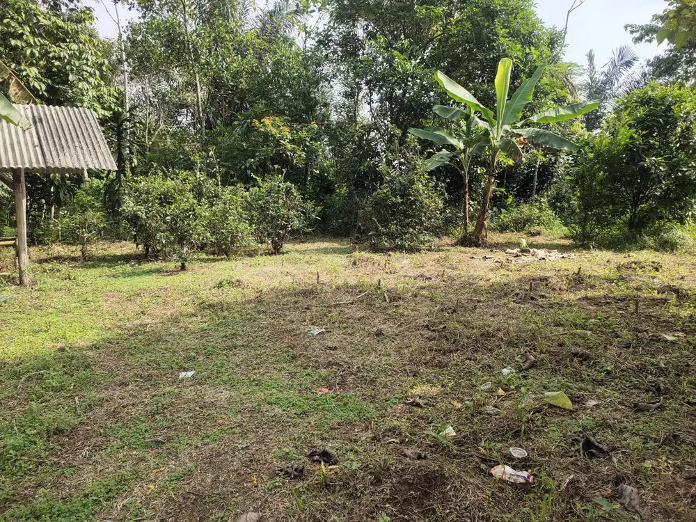 Di Jual Kebun ,Dekat Penduduk