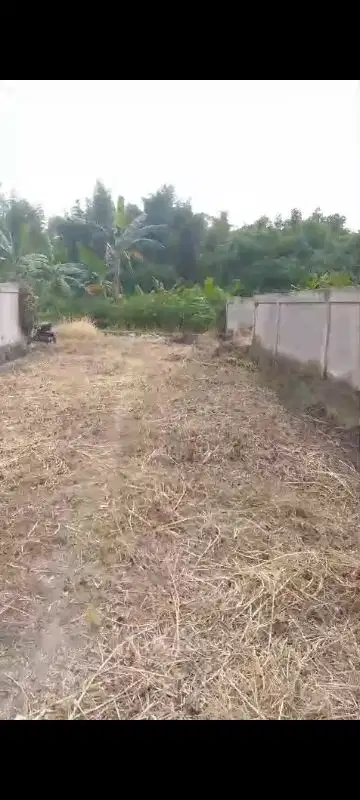 Kavling Ciemas, 2 kavling jadi satu, belakang kec ciemas