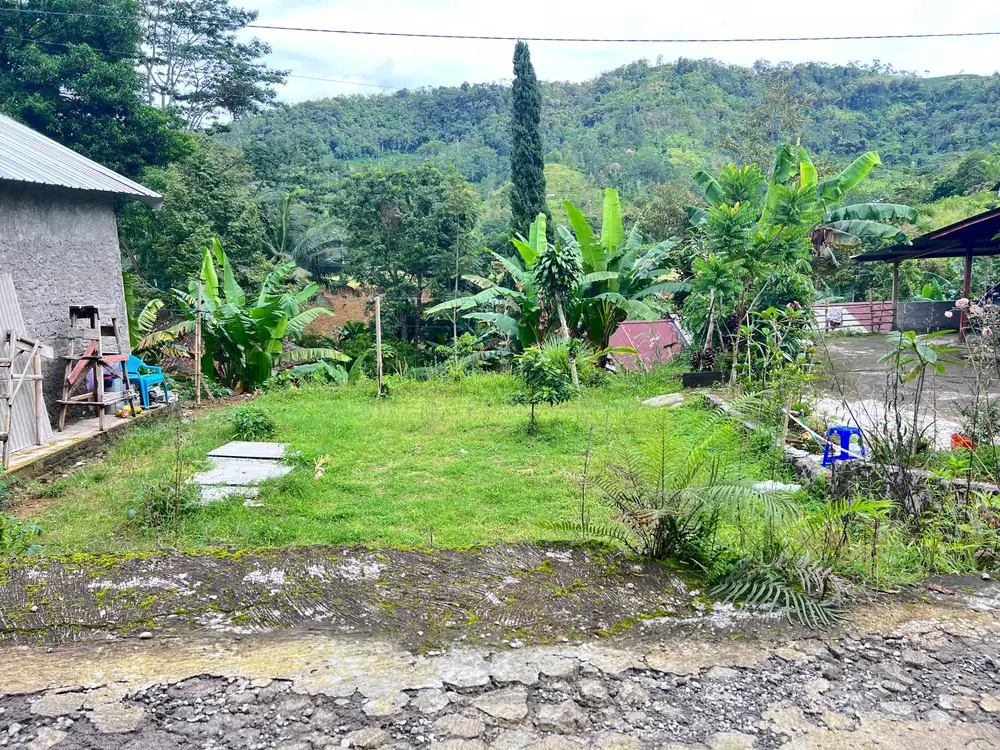 Tanah Kawasan Kebun Teh 1 Menit Dari Pasar Kemuning