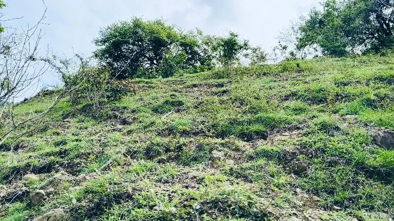 Hill view Laut dan Sanset