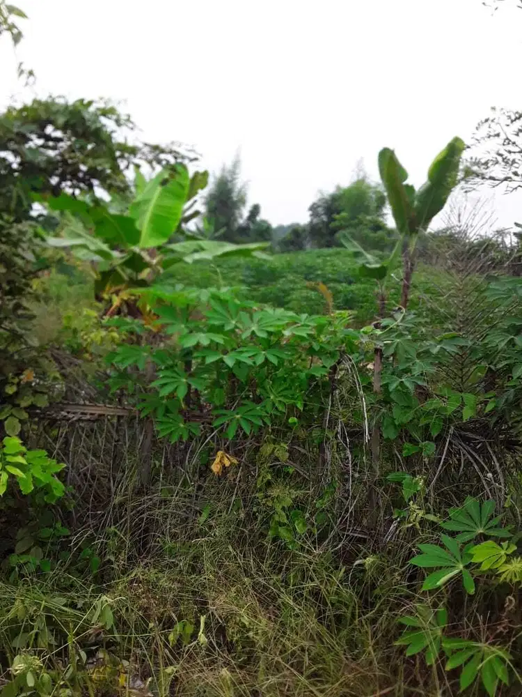 Tanah sekitar Ujung serdang Tanjung Morawa lokasi pinggir jalan