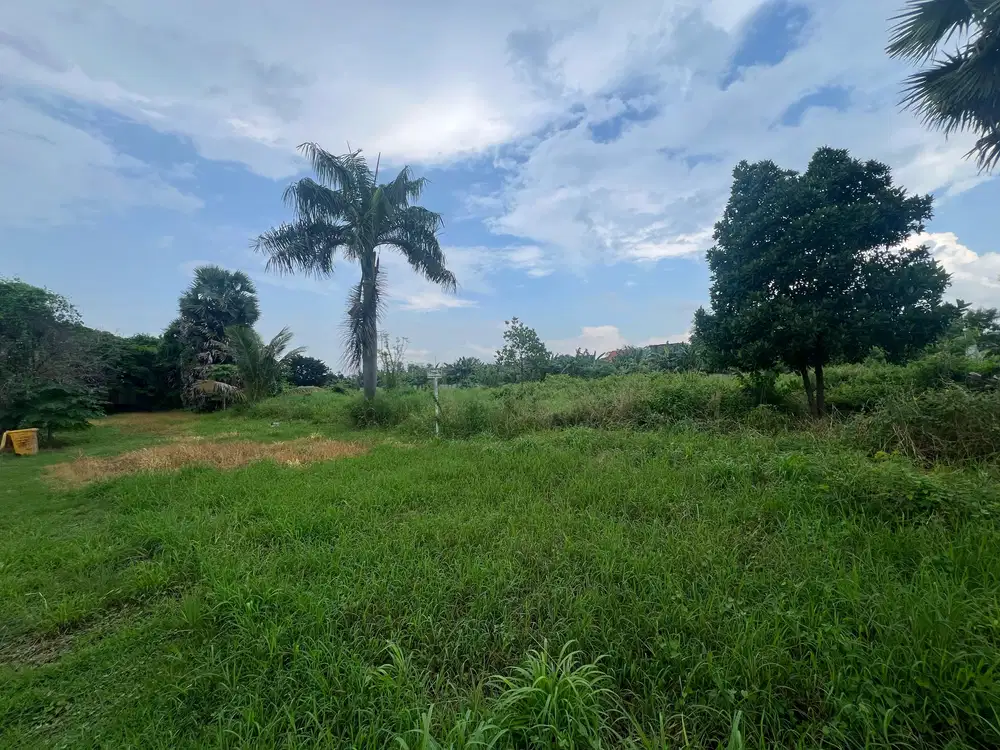 Lahan 6,3 Ha EX PABRIK @ KAWASAN INDUSTRI GRESIK (BAWAH HARGA PASAR!)