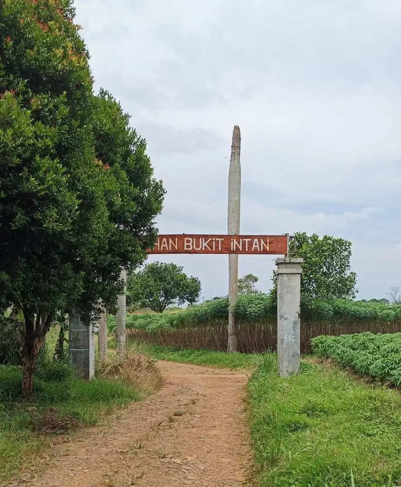 Tanah MURAH dekat Tol Bomang Bogor