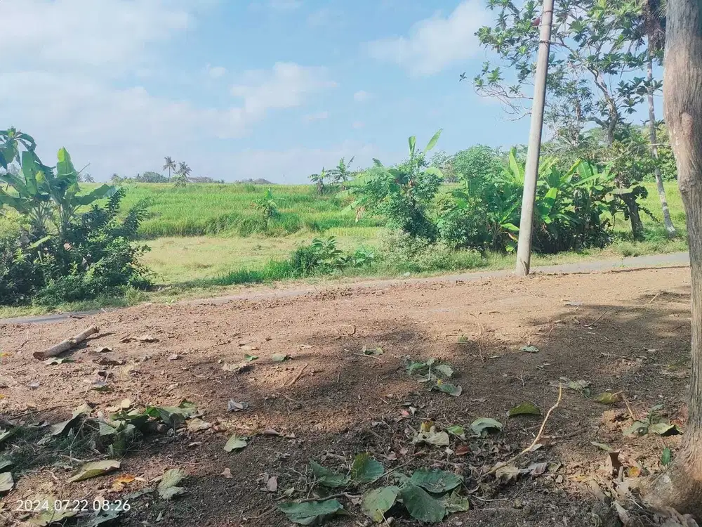 Tanah dijual di Sleman barat, pekarangan vuew sawah estetik