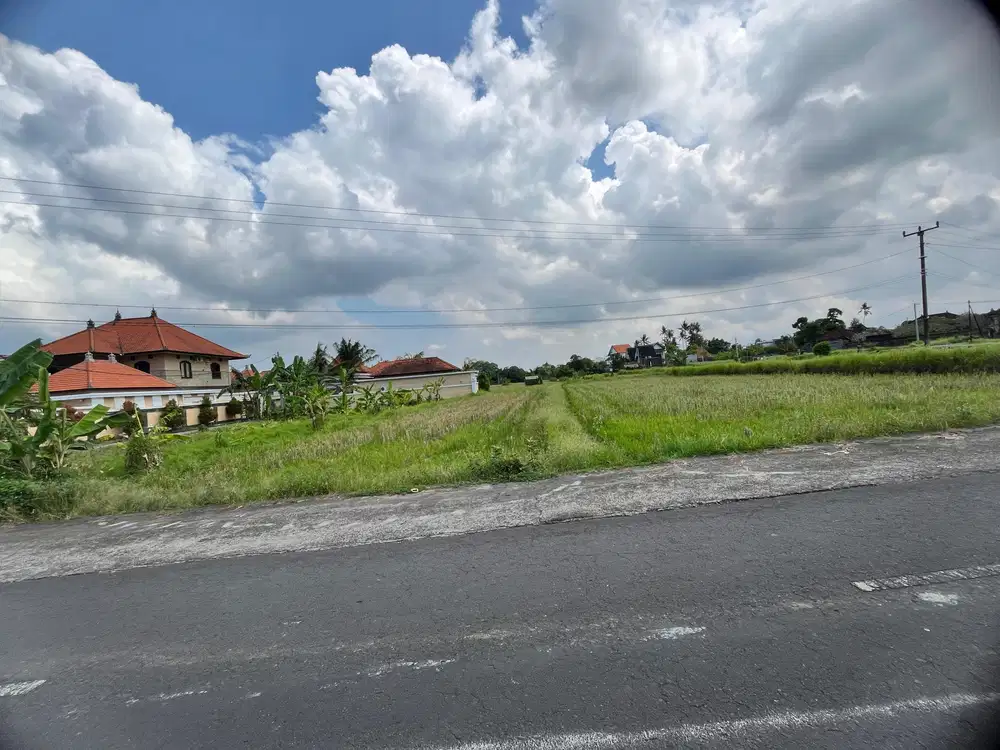 Dijual Tanah Pinggir Jln. Utama Ubud 700 m2 Cocok Usaha dan Vill - Thumbnail 5