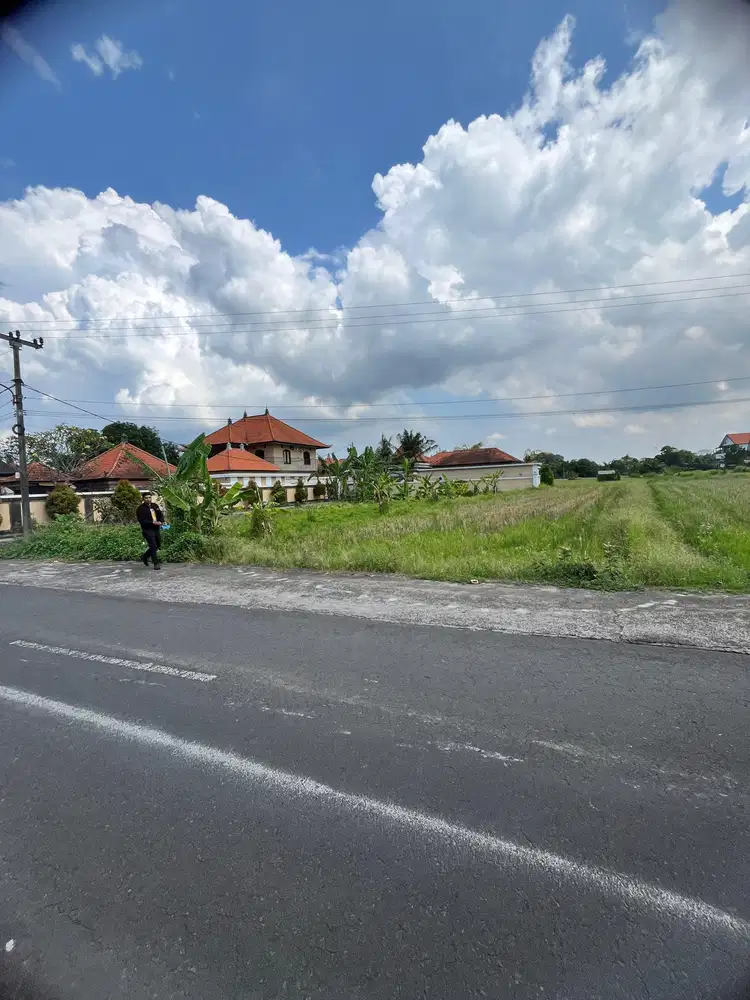 Dijual Tanah Pinggir Jln. Utama Ubud 700 m2 Cocok Usaha dan Vill - Thumbnail 9