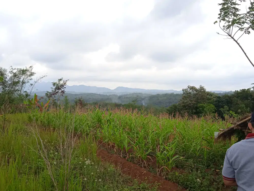 Tanah dijual di tempuran magelang Jawa Tengah SHM luas 1,4Ha