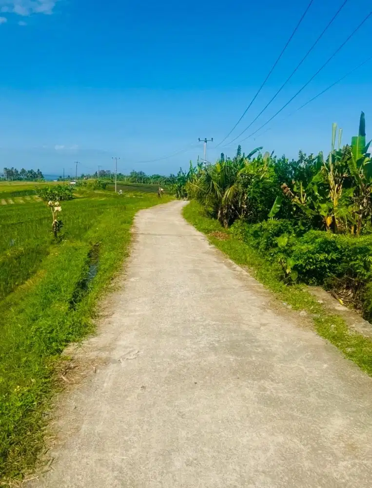 DI JUAL TANAH DEKATA PANTAI DENGAN VIW PANTAI DI TEMPAT YANG TINGGI.