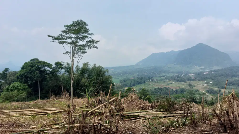 Jual tanah kavling murah di pegunungan puncak 2 bogor