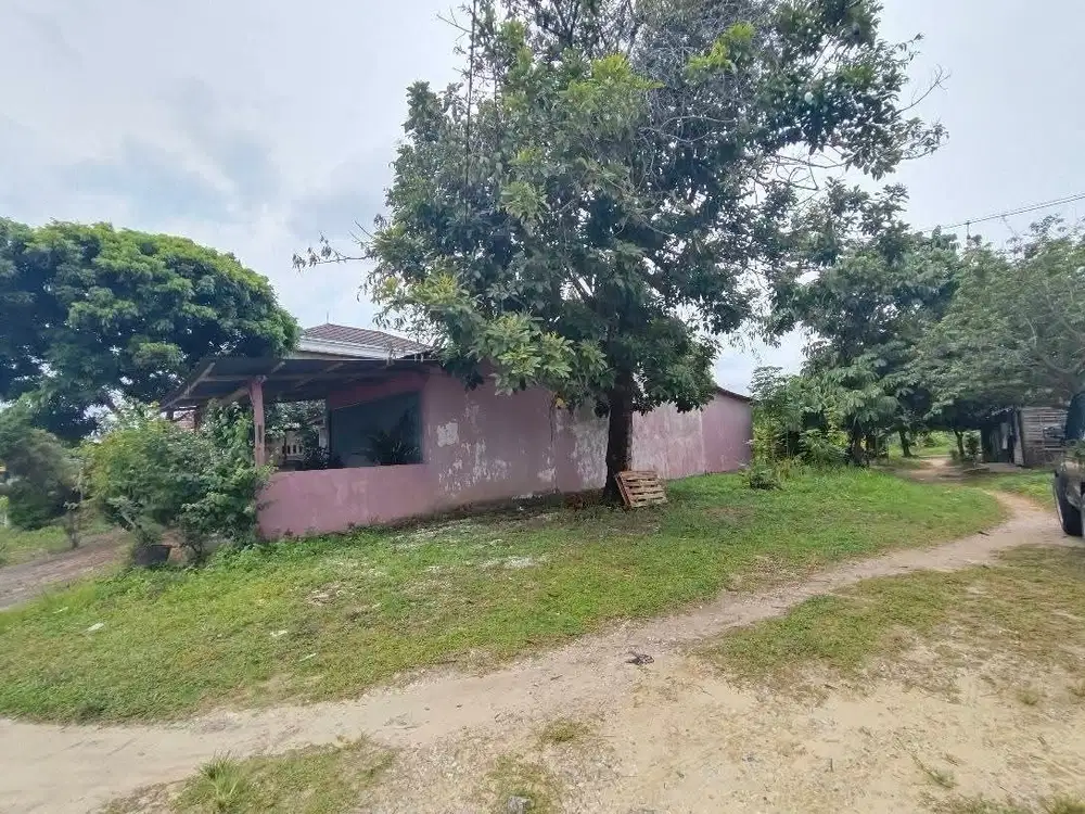 Dijual Tanah Dan Rumah