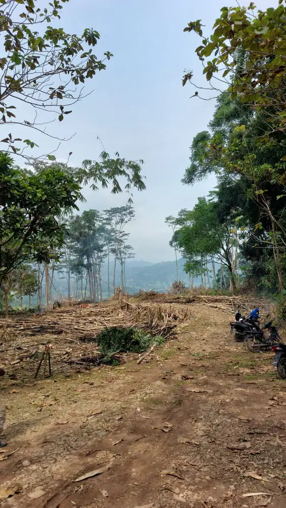 Jual tanah kavling di puncak 2 bogor terbaru 2025