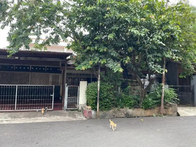 Lokasi nyaman akses mudah 3,3 Net Jl.Anggrek Nelimurni Jakarta Barat.