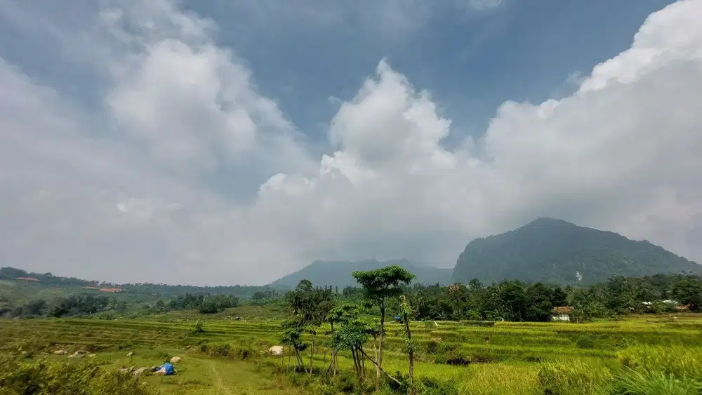 Jual Kavling Villa di Kawasan Puncak 2 Bogor