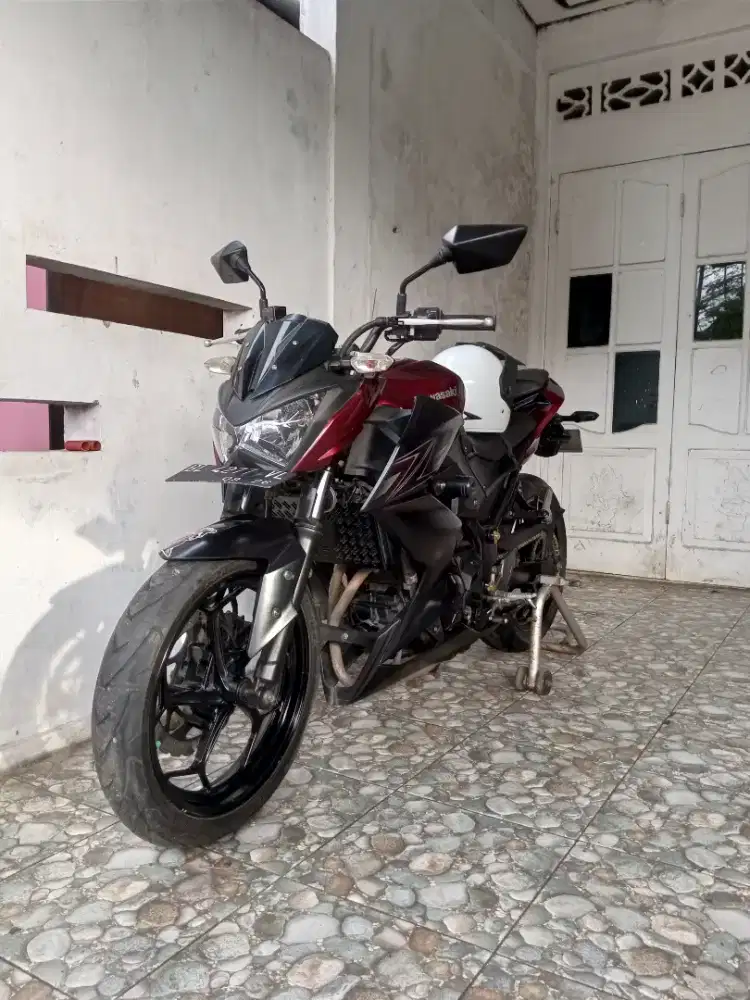 Kawasaki Z250 limited