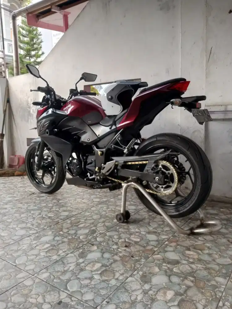 Kawasaki Z250 limited