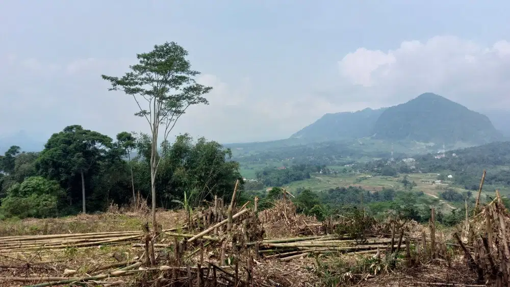 Tanah Kavling Vila Bogor Legalitas SHM Bisa Buat Vila atau Rumah kebun