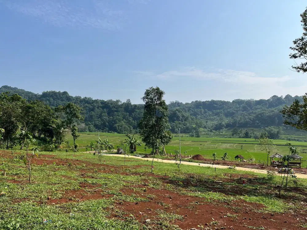 Tanah Kavling Vila di Kawasan Agrowisata Bogor 390 ribuan per Meter