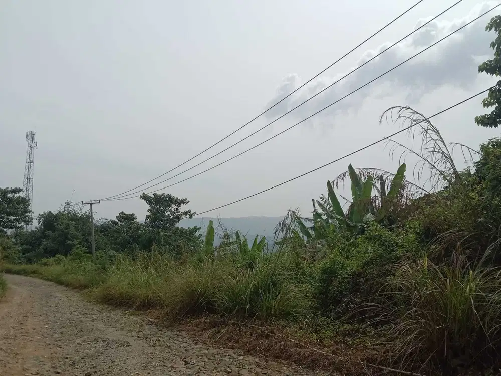 Di Jual Tanah Di Kab Purwakarta