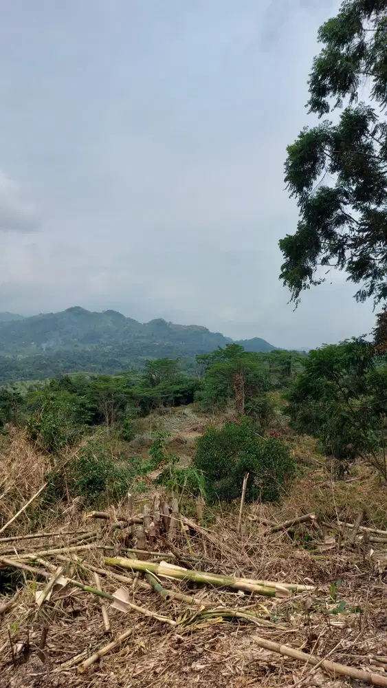 Jual tanah kavling villa di puncak 2 bogor