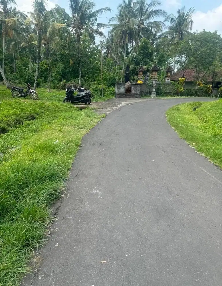 DI JUAL TANAH LOS SUNGAI TINGGAL TATA DAN BANGUN VILLA SAJA.