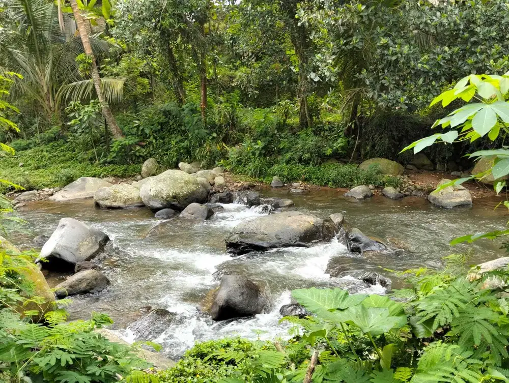 Tanah Dekat Aliran Sungai Cocok Untuk Villa Karanganyar