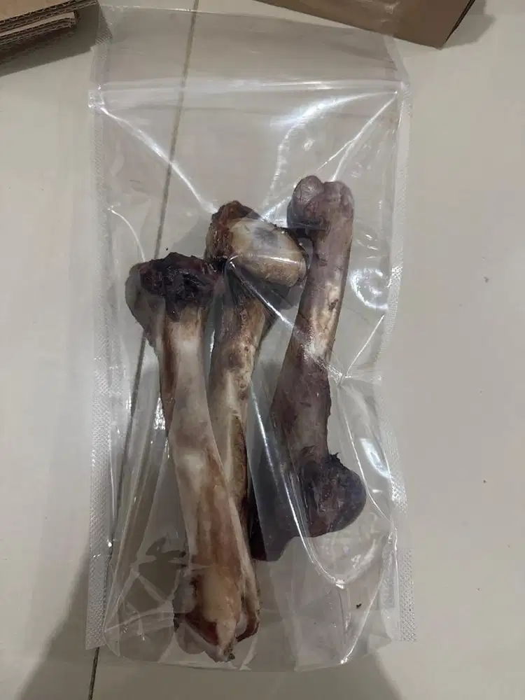 WANITA NGINAP staff produksi NONHALAL suka dogi kucing BERSIH GESIT