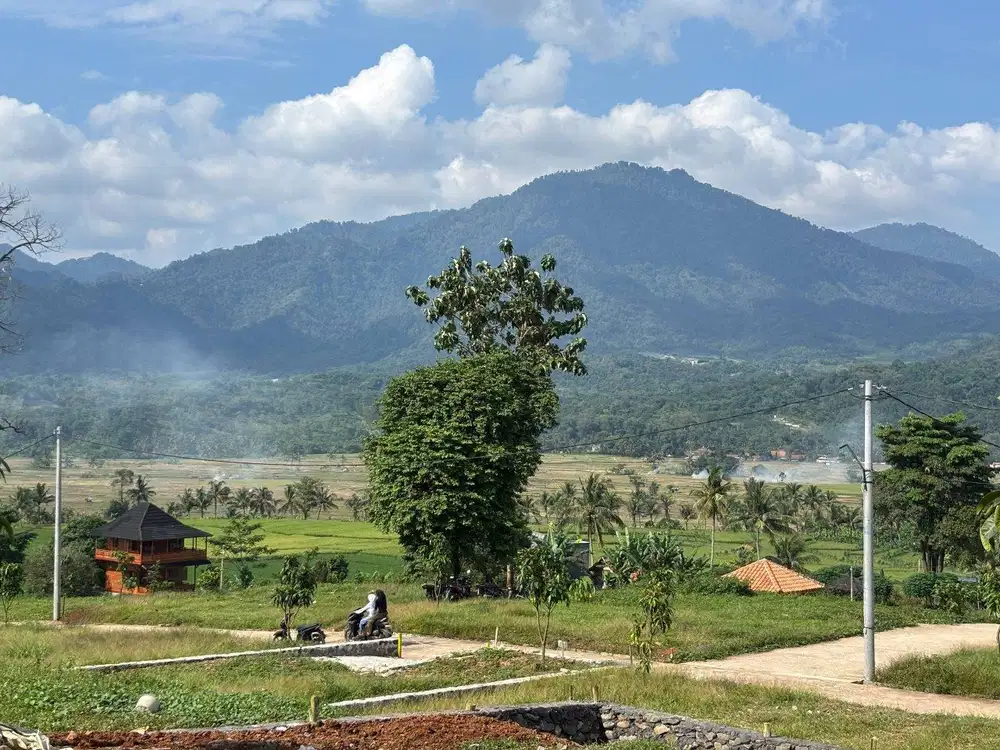Tanah murah lokasi strategis  jalan provinsi bogor