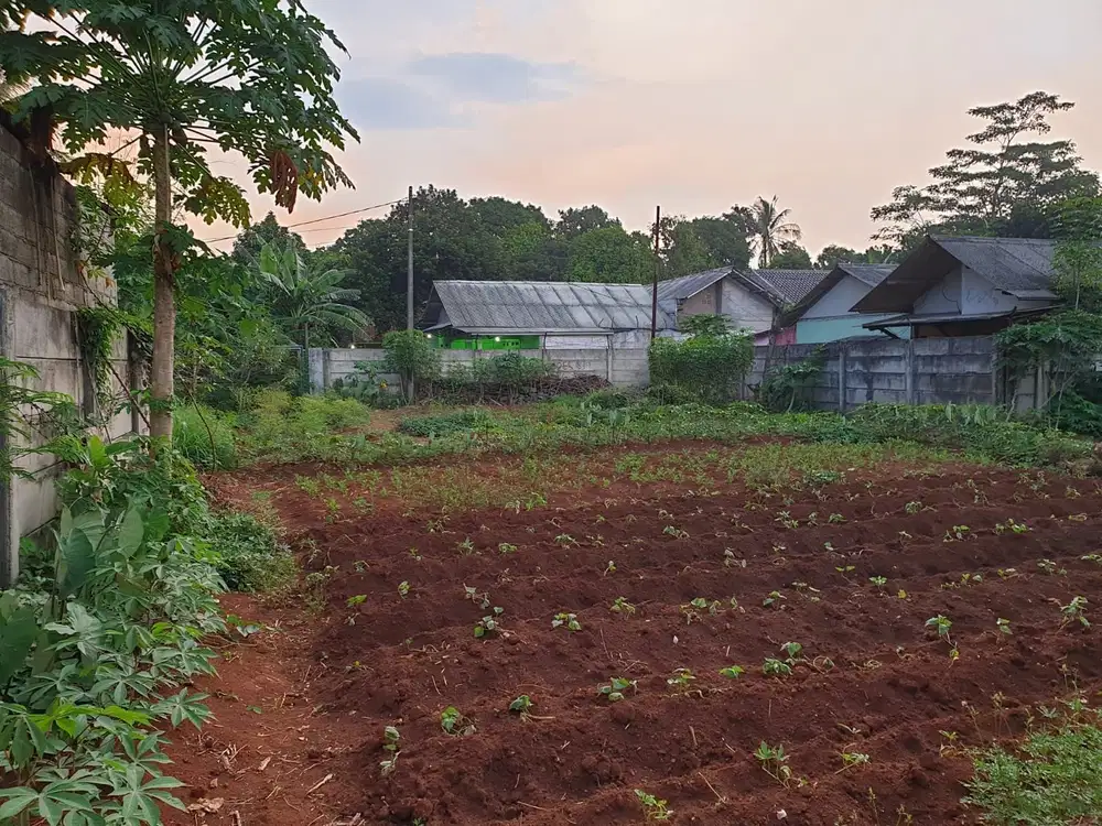 Jual tanah rata harga murah 1950ribuan permeter