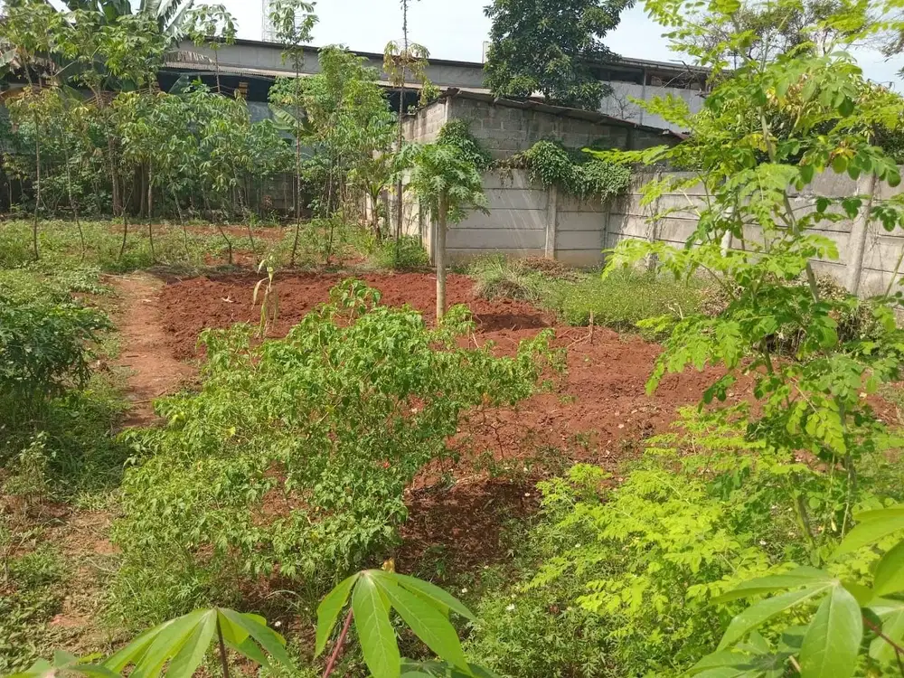 Dijual Tanah Murah di jalan Rawaillat dekat Taman Buah Mekar Sari