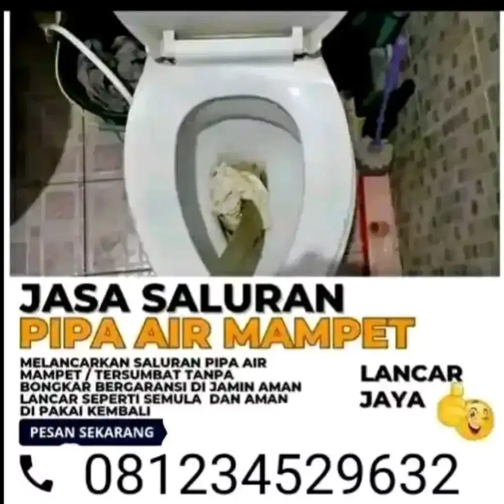 Sedot wc dan saluran mampet