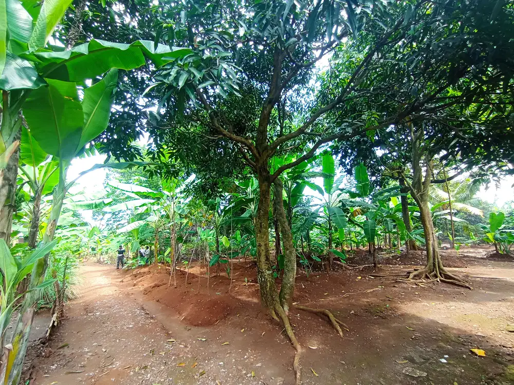 Dijual Segera Tanah Untuk Cluster di Cilangkap Tapos Depok