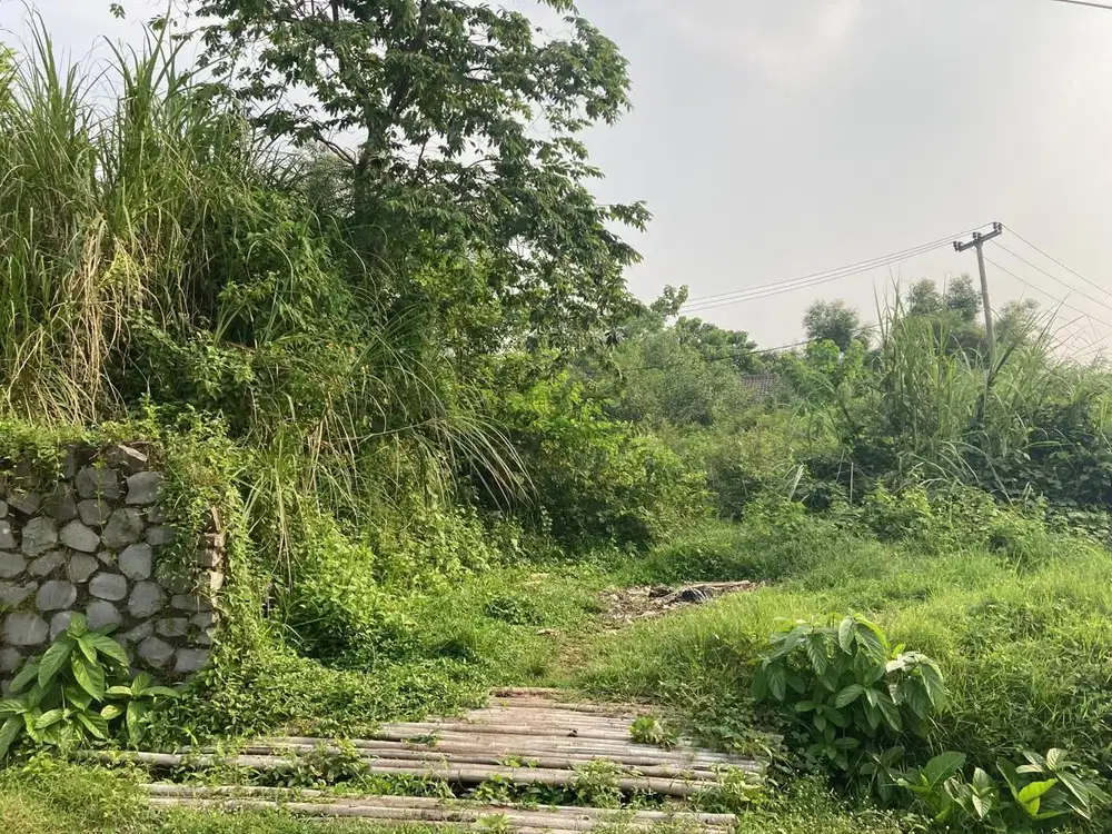 Dijual 2 Bidang Tanah di Kawadan Pariwisata Jatiluhur Purwakarta