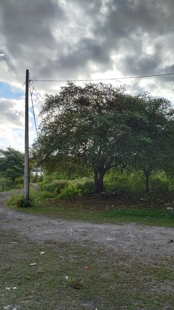 Jual Cepat Tanah 2are dekat GWK