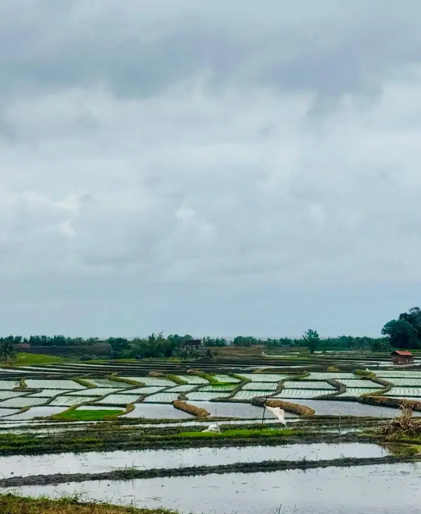 Di JUAL TANAH ZONA PARIWISATA PANTAI PASUT TABANAN BALI