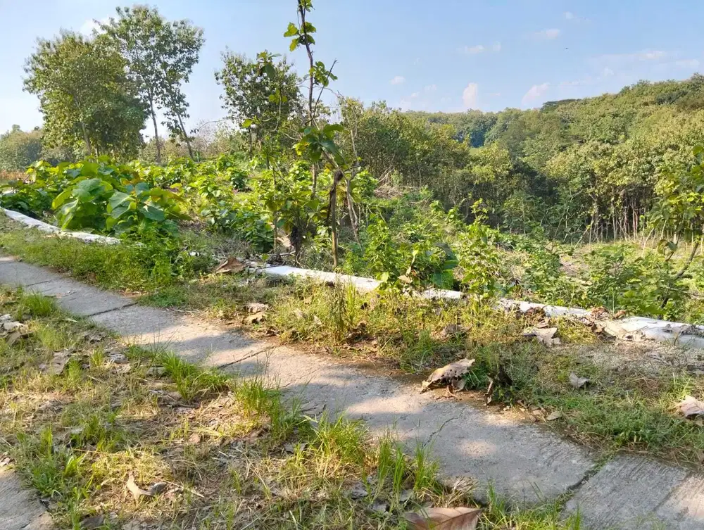 TANAH MURAH 39RB/M SRAGEN