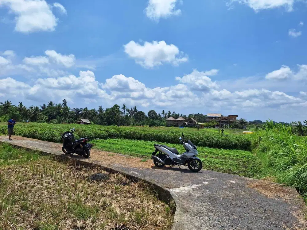 Dijual Tanah Ubud 350 m2 sangat strategis View Sawah Aktif - Thumbnail 6