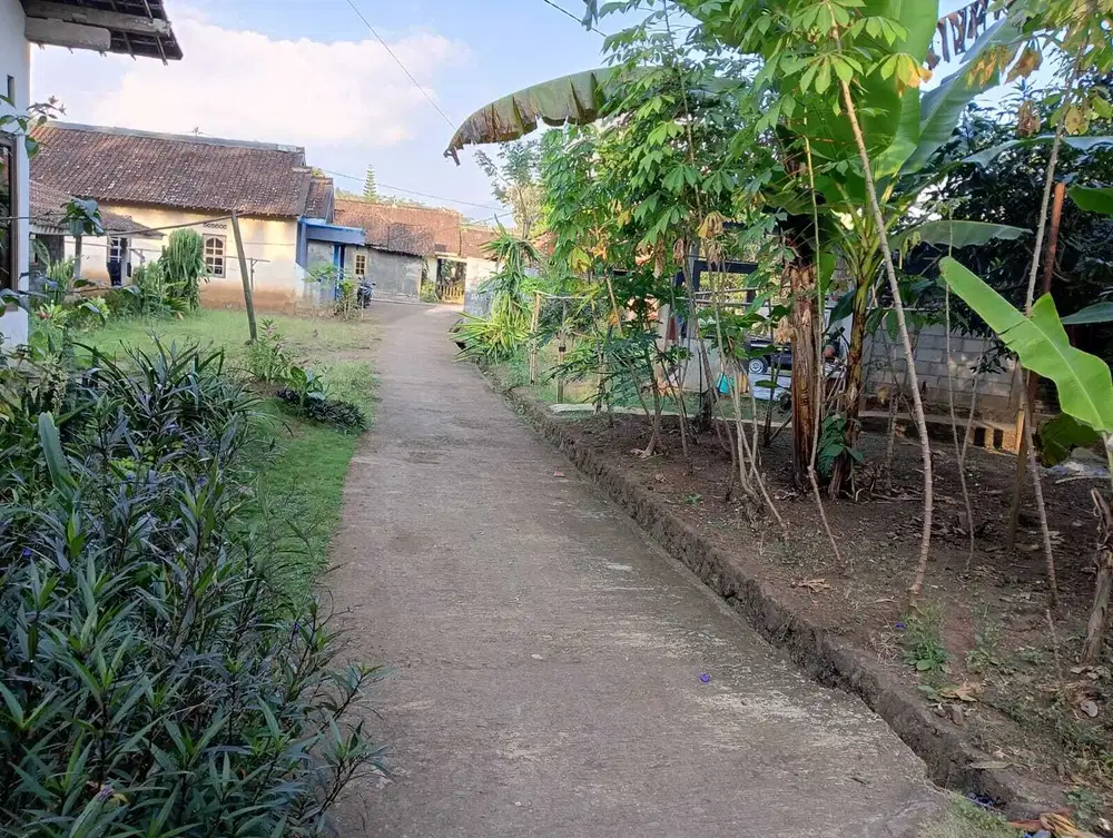 Dijual Tanah Pekarangan Murah Pringsurat, Cocok Hunian dan Kapling