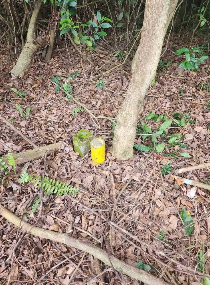 Dijual Tanah/Tapak Rumah