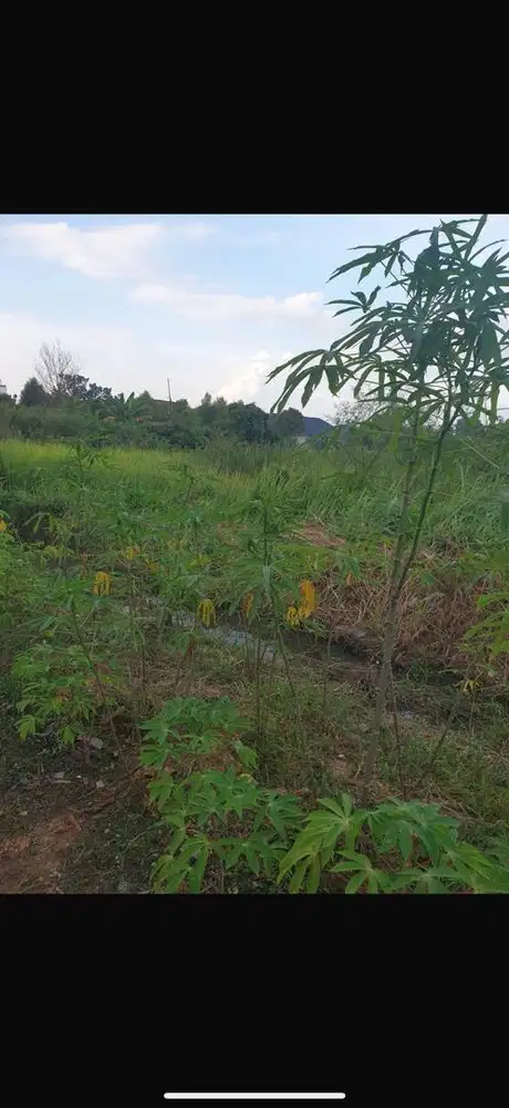 Dijual Tanah Daerah Parit Indah