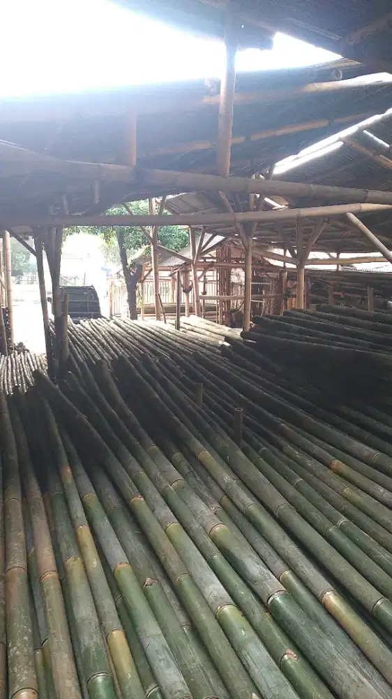 Jual bambu steger