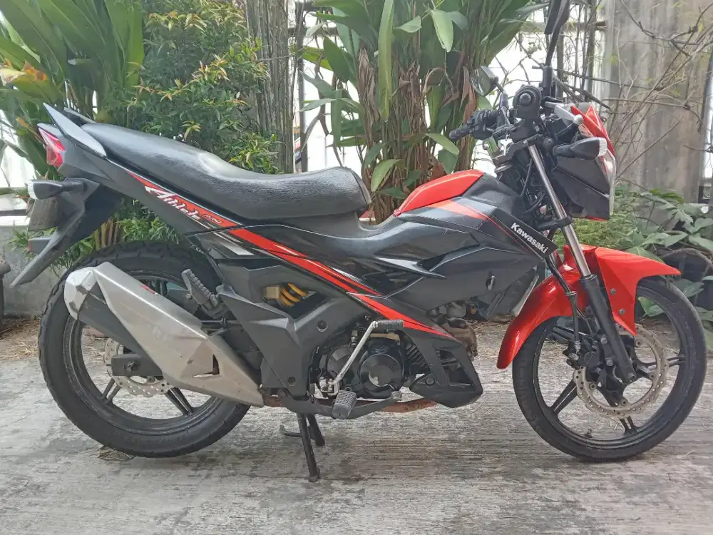 Kawasaki Athlete Pro 2016