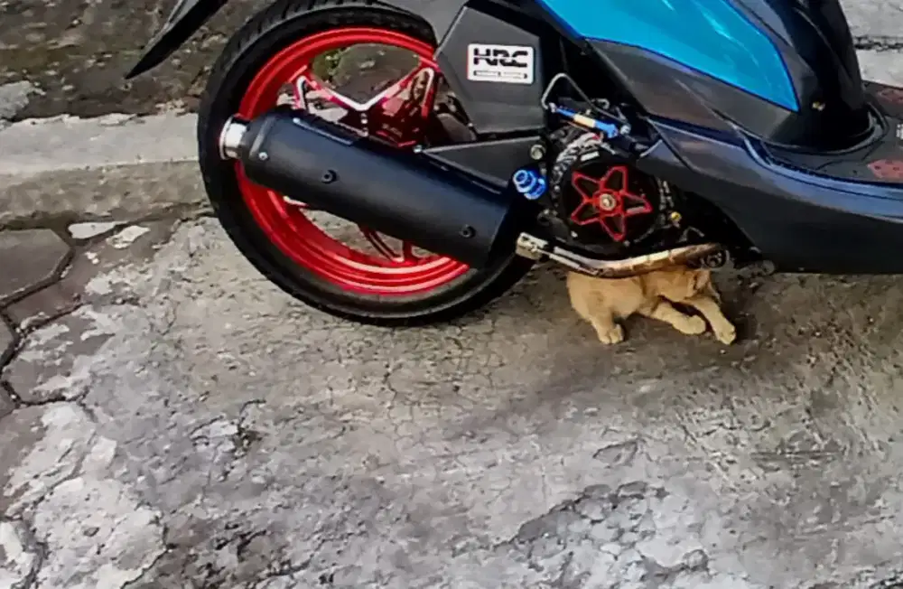 Knalpot R one beat 2019 kebawah