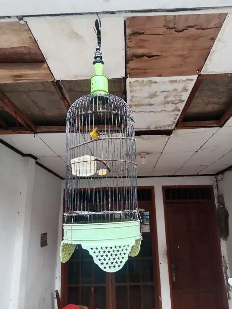 Kandang burung kecil msh cakep